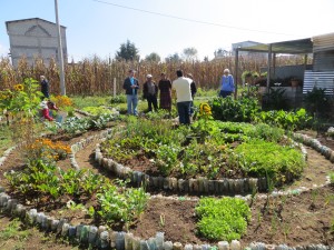 Amilcar and Hilda's garden