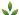 leaf icon