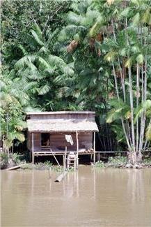 hut in the jungle along a river