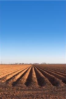 cultivated soil, cultivated farmland